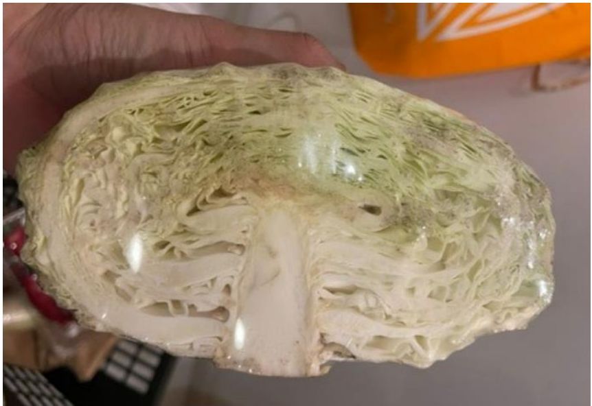 Cabbage with Orange Wrap