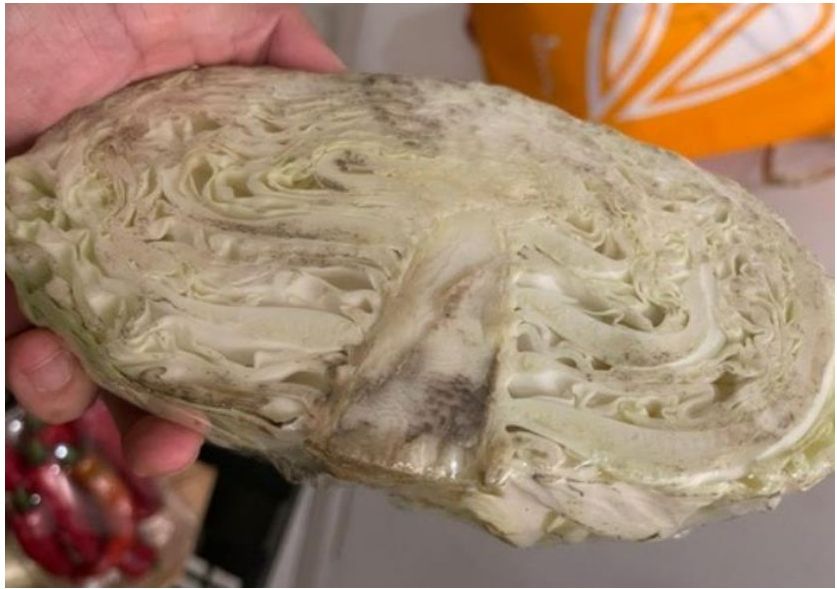 Cabbage without Orange Wrap