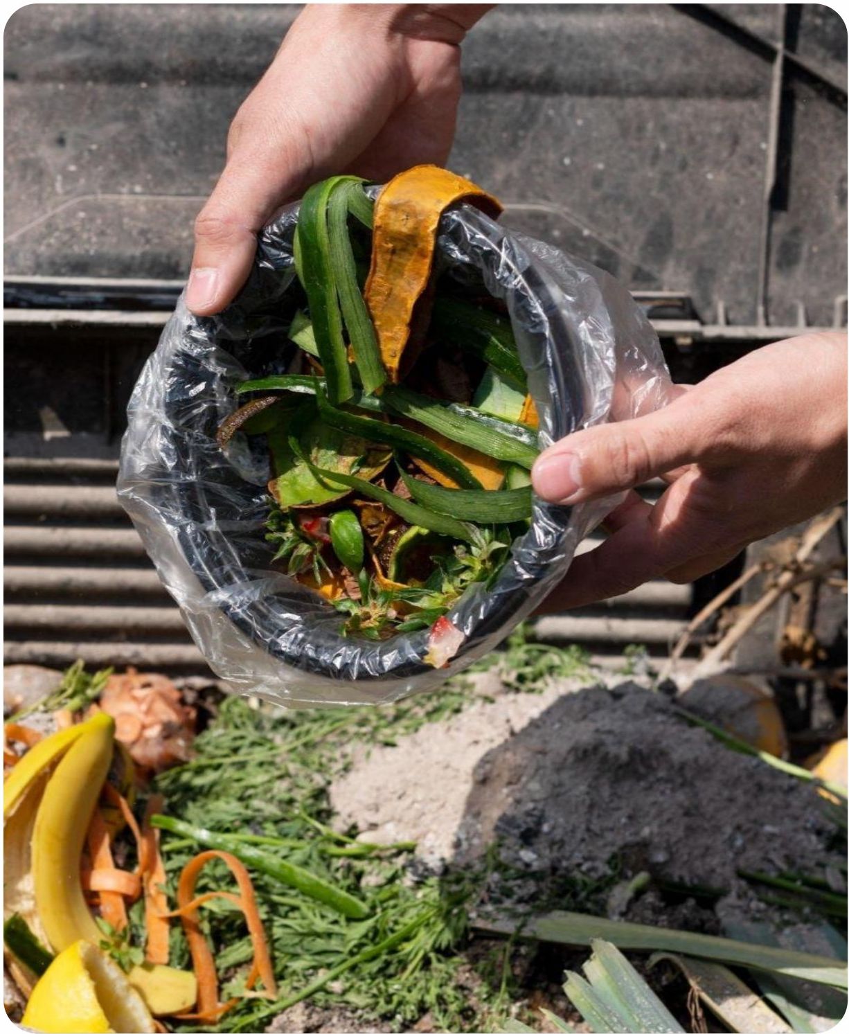 Discarded food scraps over compost — illustrating global food waste